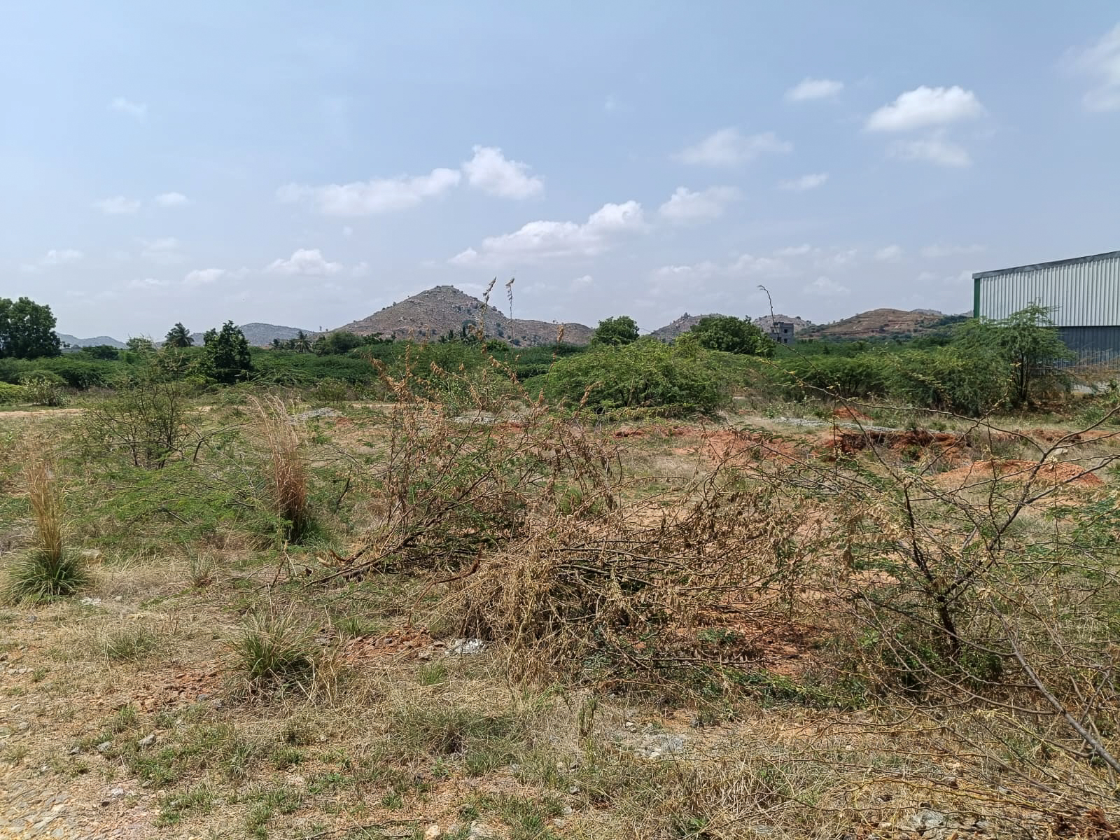 Industrial Plot with Factory Building for Sale in Industrial Park Penukonda Village Penukonda District Anantapuramu Pin 515110 Andhra Pradesh, PENUKONDA — photo 17
