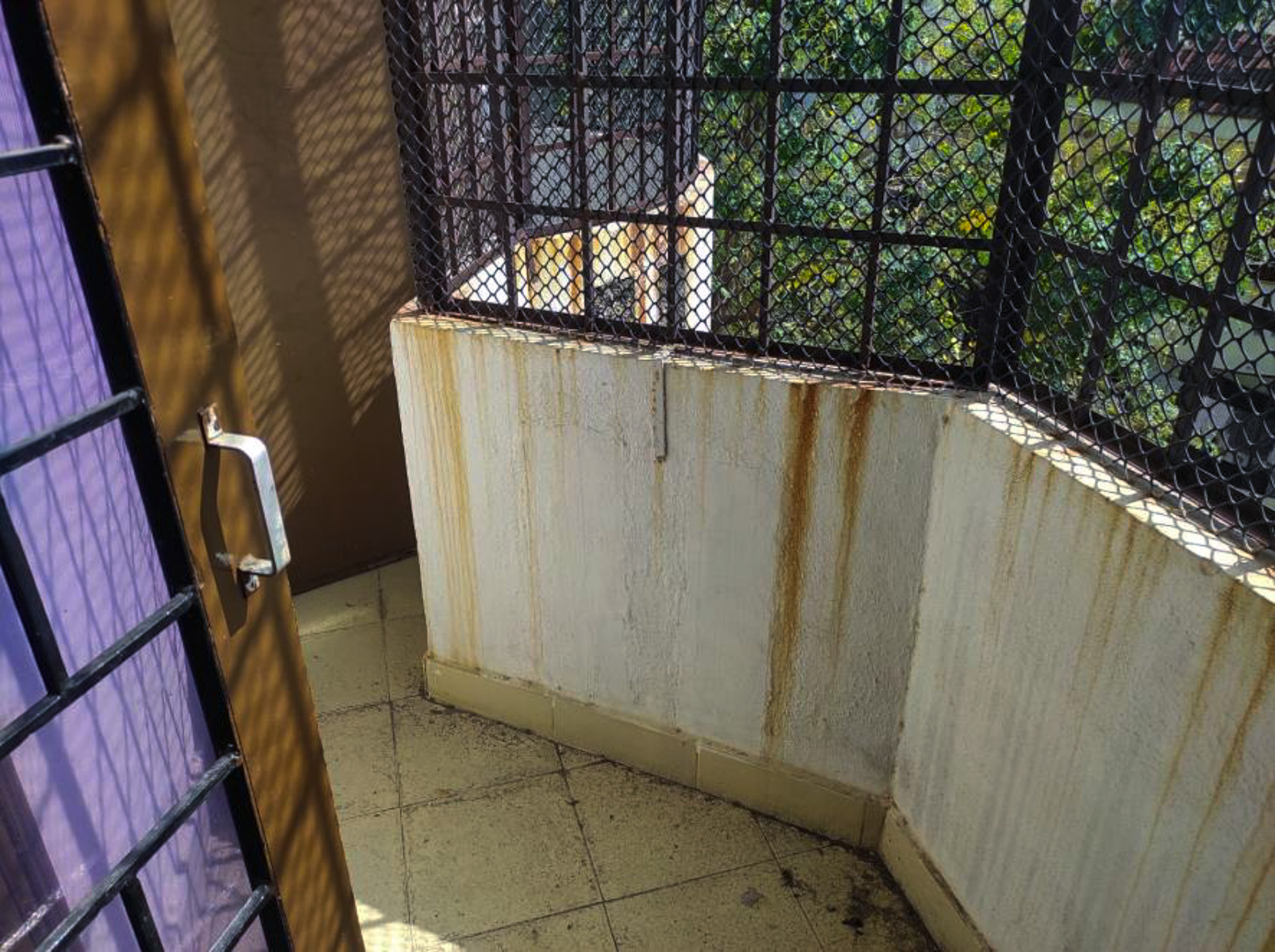 Flat for Sale in Banjara hills, Hyderabad — photo 13