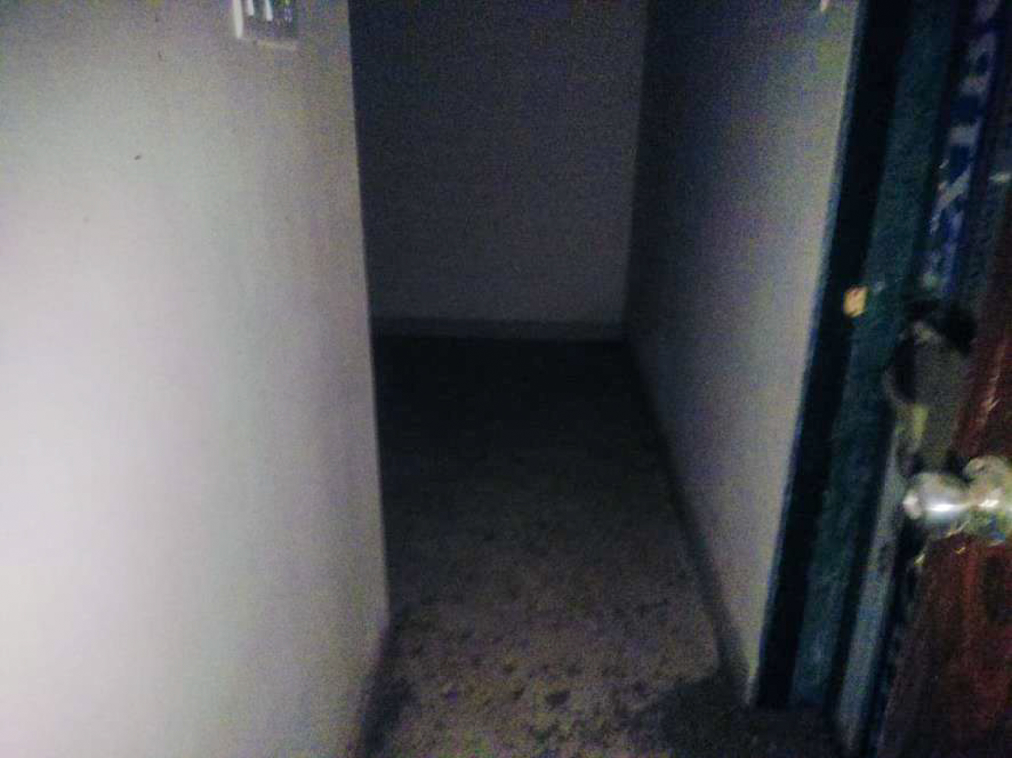 Flat for Sale in Chowk — photo 10