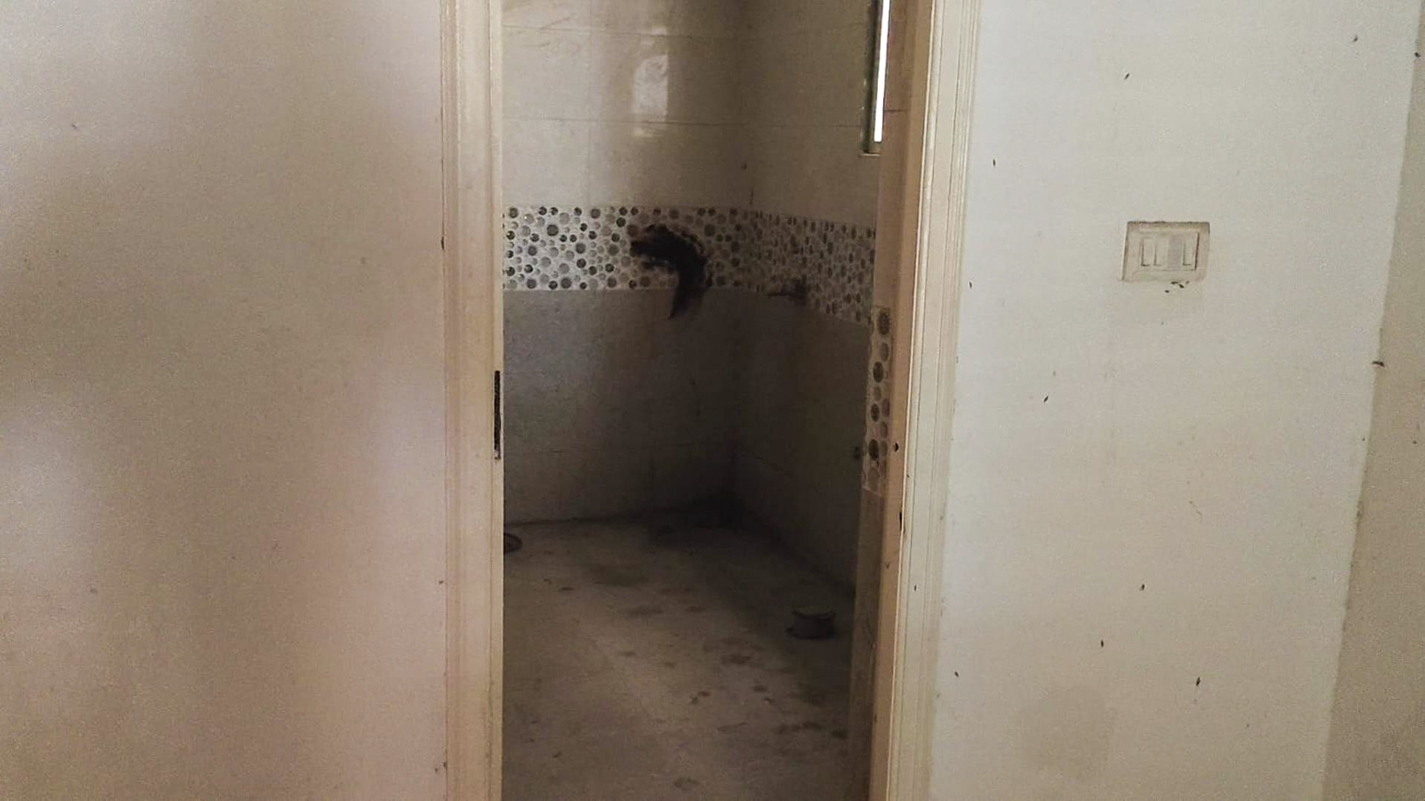 Flat for Sale in Bengaluru — photo 10