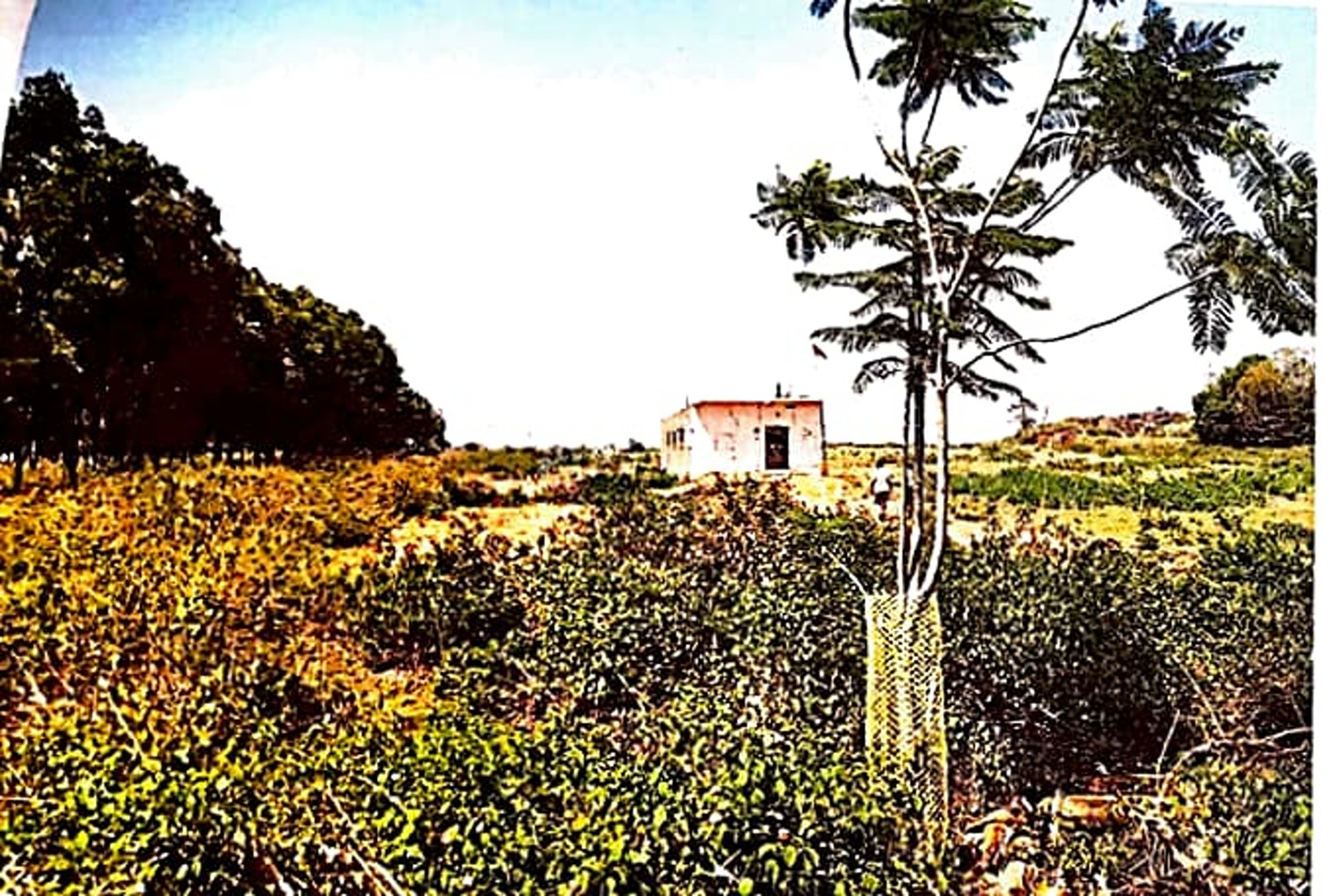 Individual House for Sale in Meru — photo 2