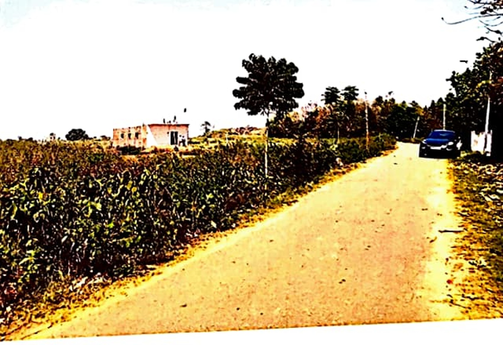 Individual House for Sale in Meru — photo 6