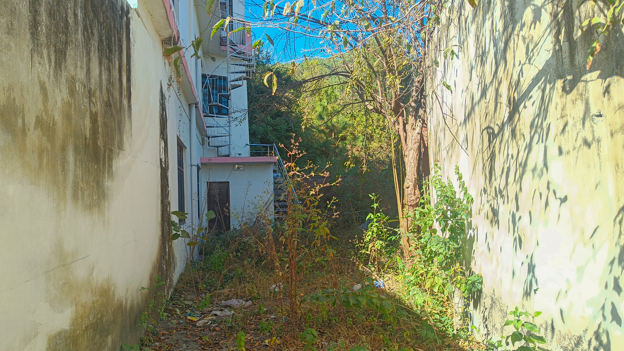 Individual House for Sale in Almora — photo 11