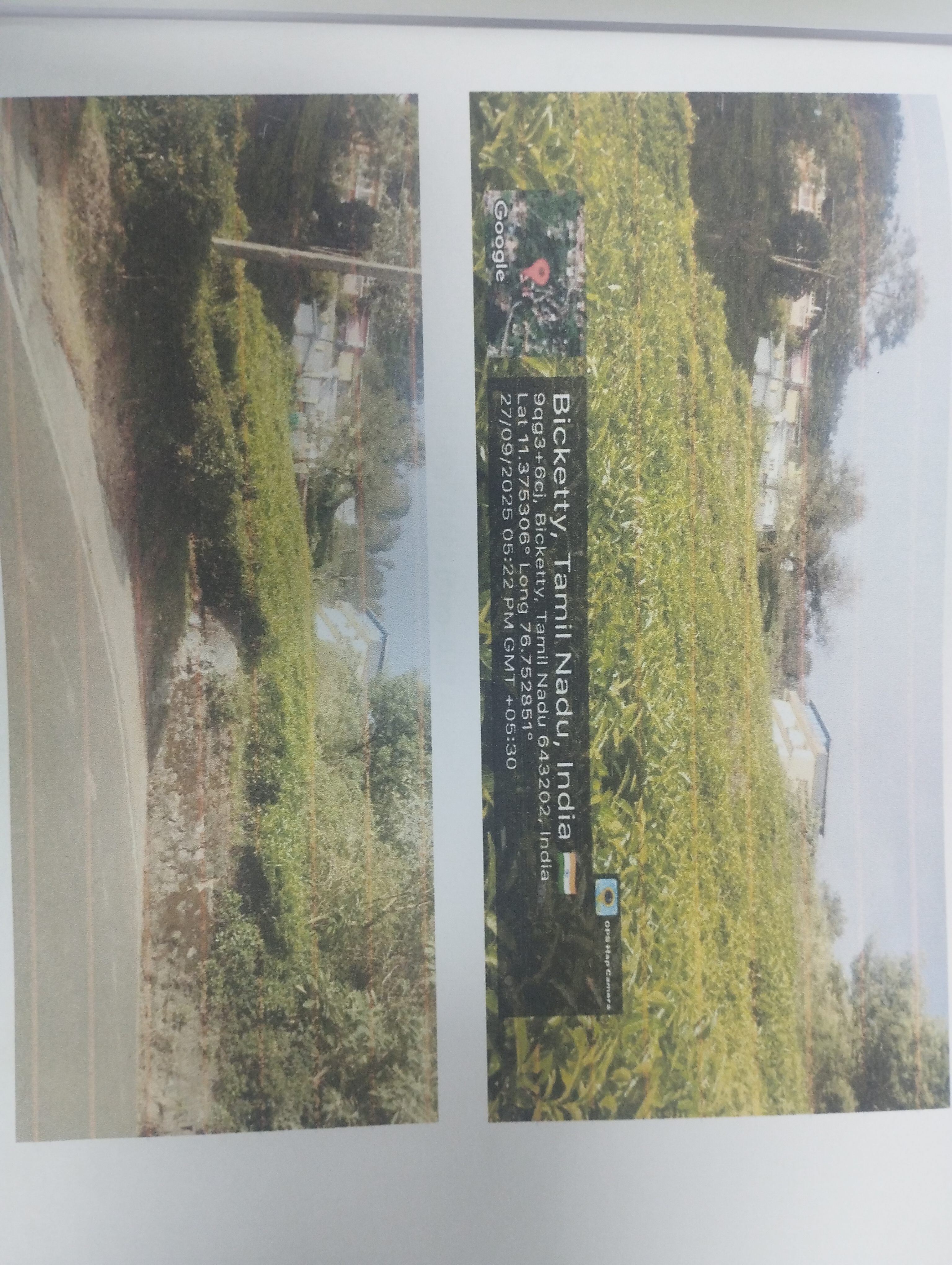 Tea plantation for Sale in Periya Bikkaty, Aravankad TS — photo 1