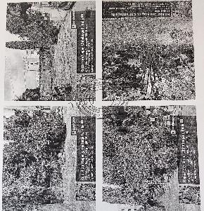 Plot for Sale in Mopka Garden City, Bilaspur — photo 1