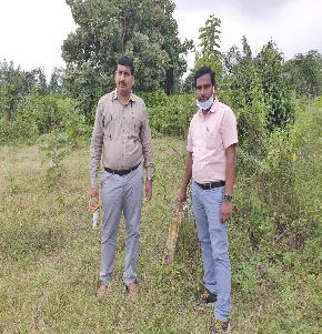 Plot for Sale in Attilli — photo 1
