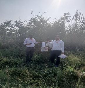 Plot for Sale in Hasangarh — photo 1