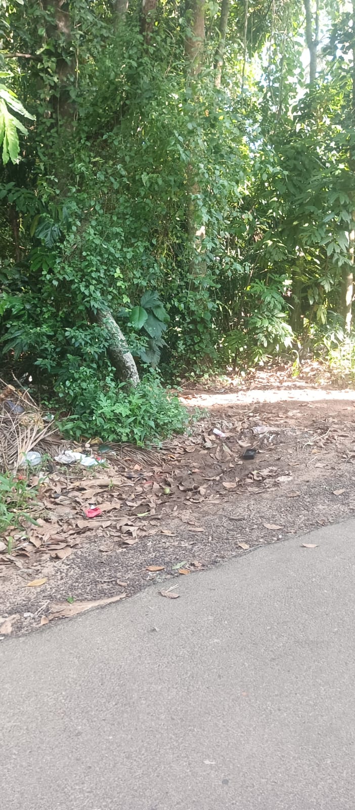 Plot for Sale in Athiyannur — photo 2