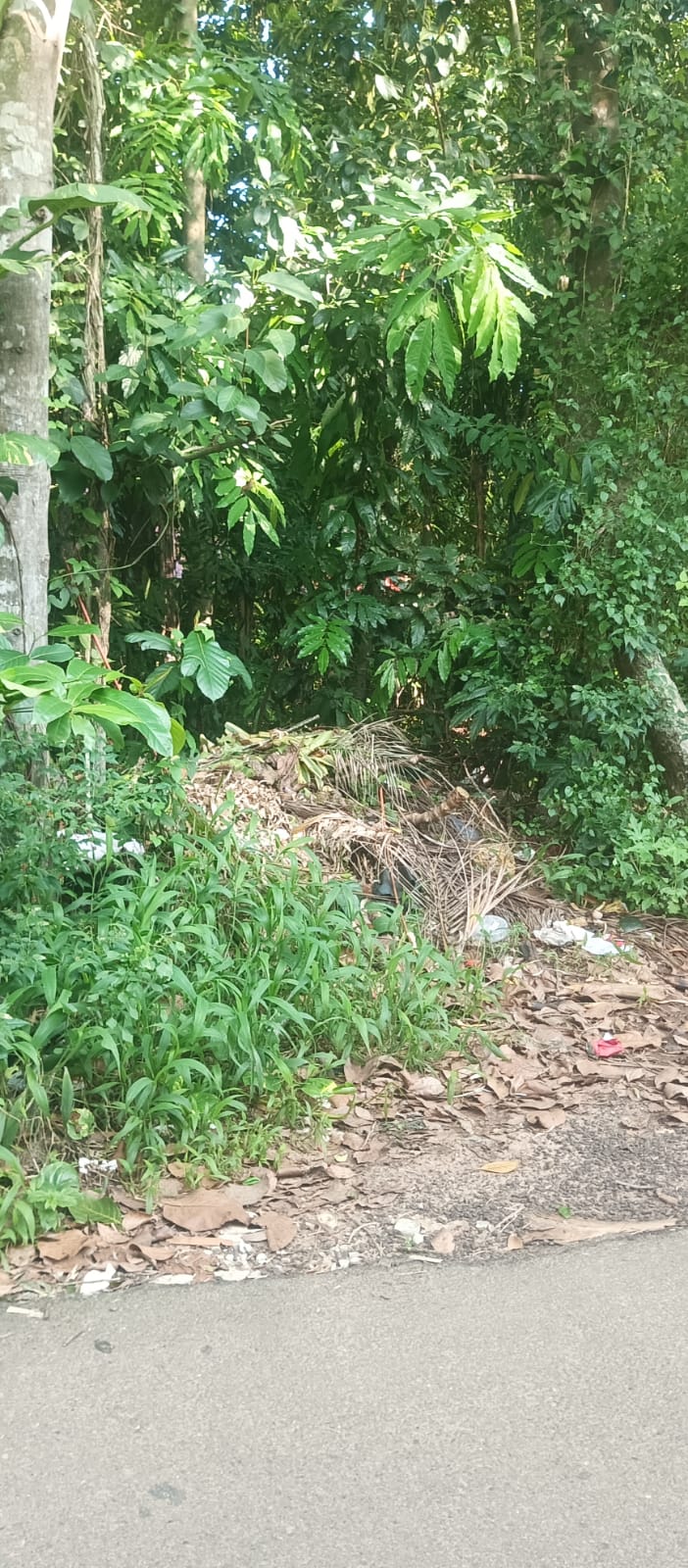 Plot for Sale in Athiyannur — photo 3