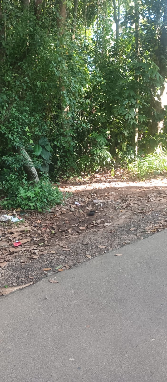 Plot for Sale in Athiyannur — photo 5