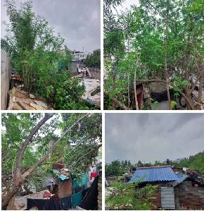 Plot for Sale in Bhubaneswar — photo 1