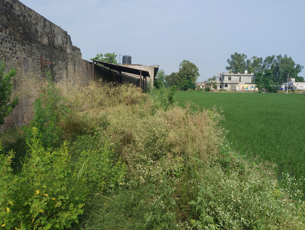 Industrial Plot with Factory Building for Sale in Goraya — photo 40