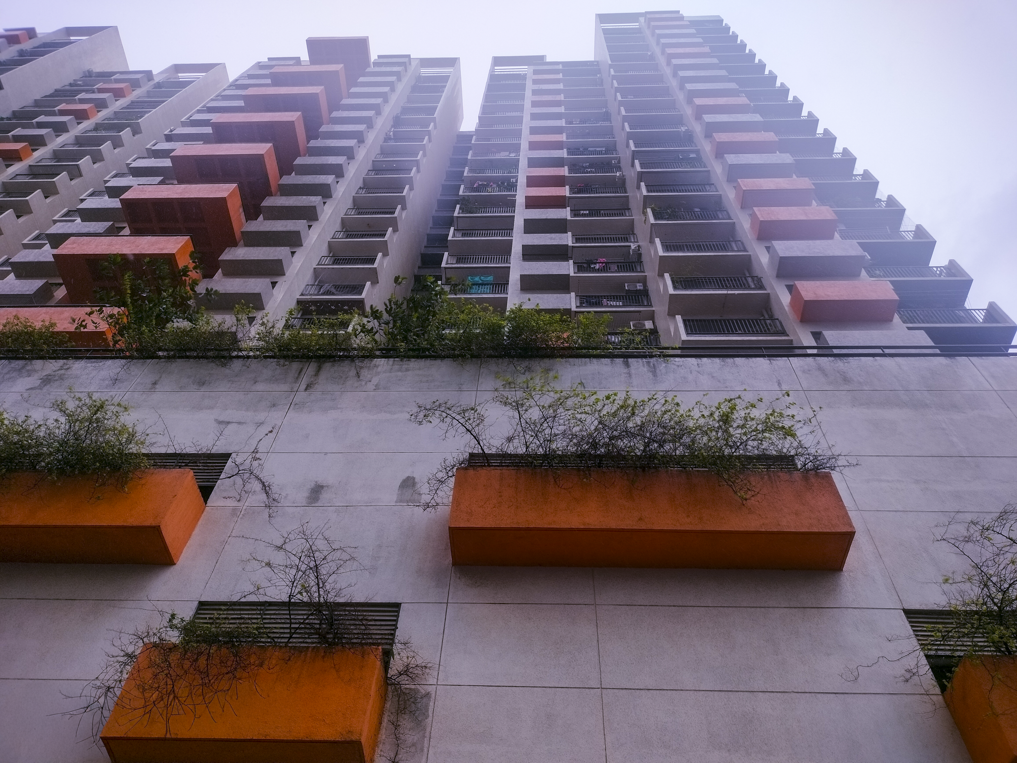 Flat for Sale in Vasai Virar — photo 2