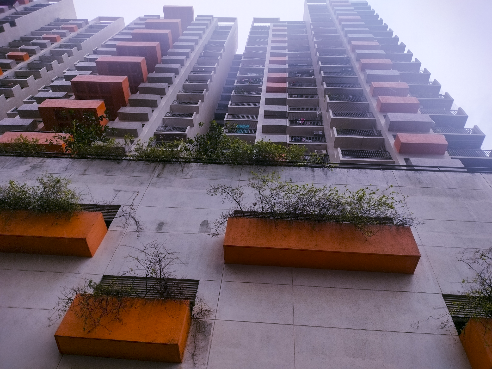Flat for Sale in Vasai Virar — photo 4