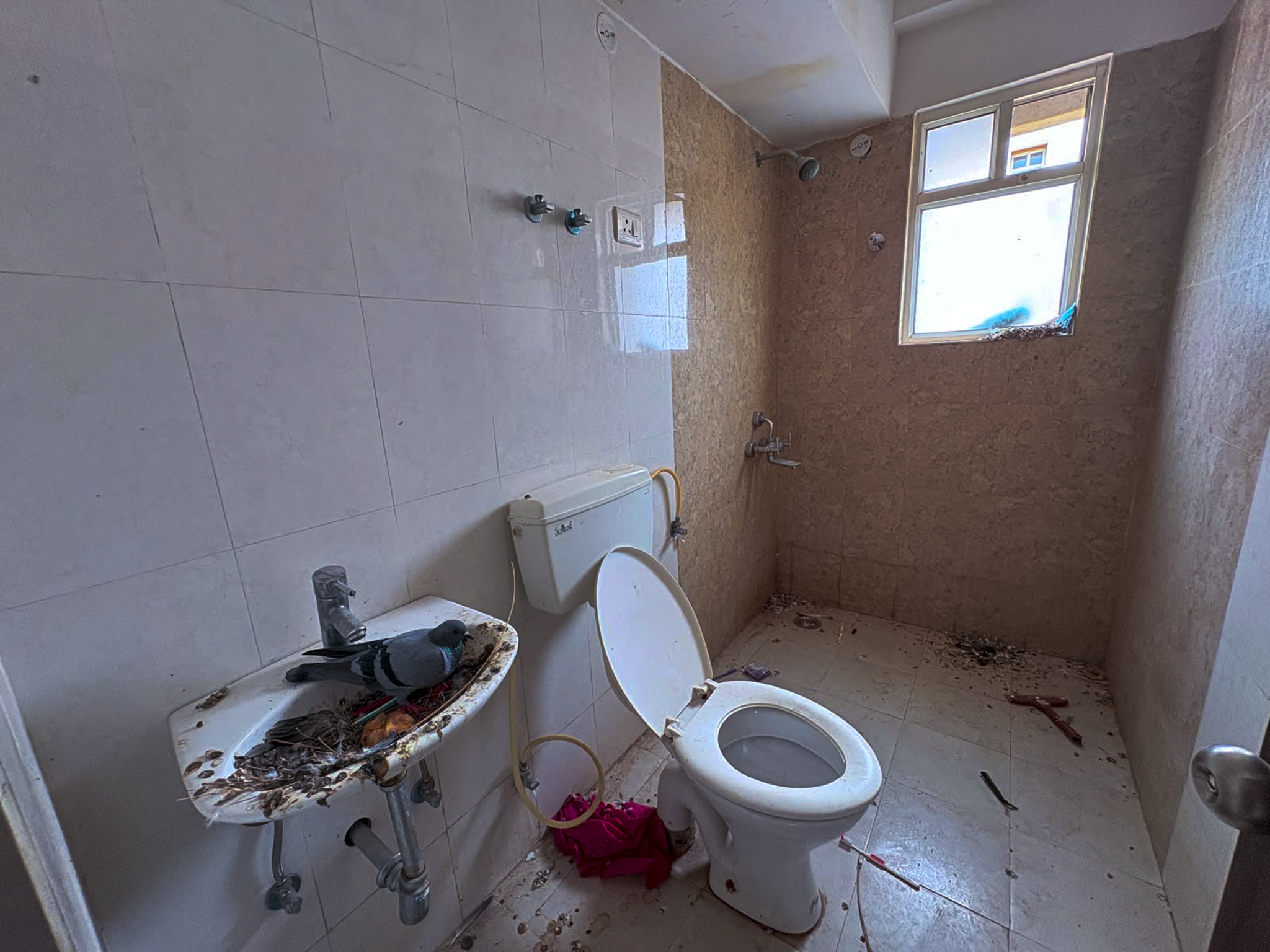 2 BHK Flat for Sale in Sidha Anagan, Jaipur, Jaipur — photo 6