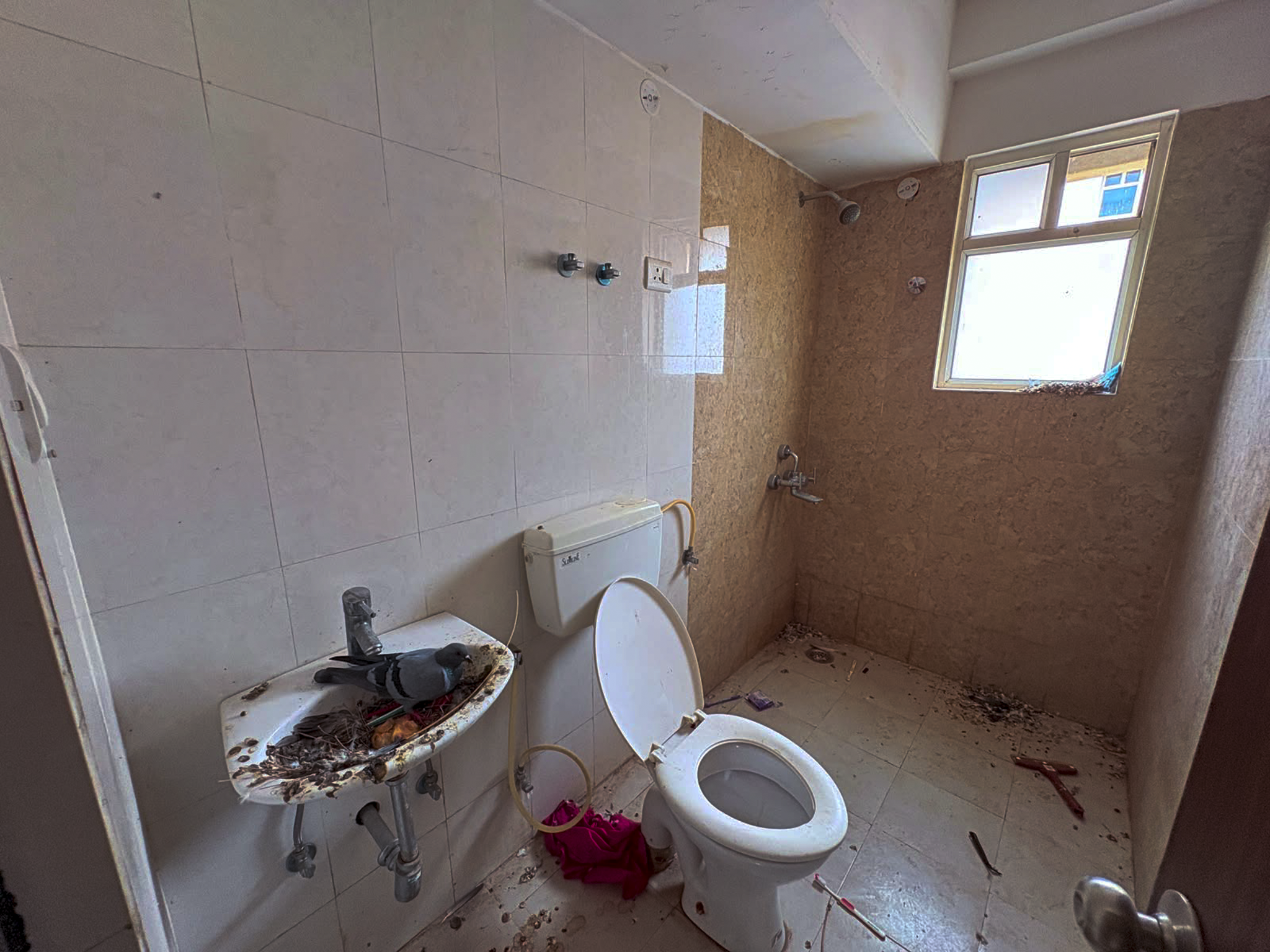 2 BHK Flat for Sale in Sidha Anagan, Jaipur, Jaipur — photo 14