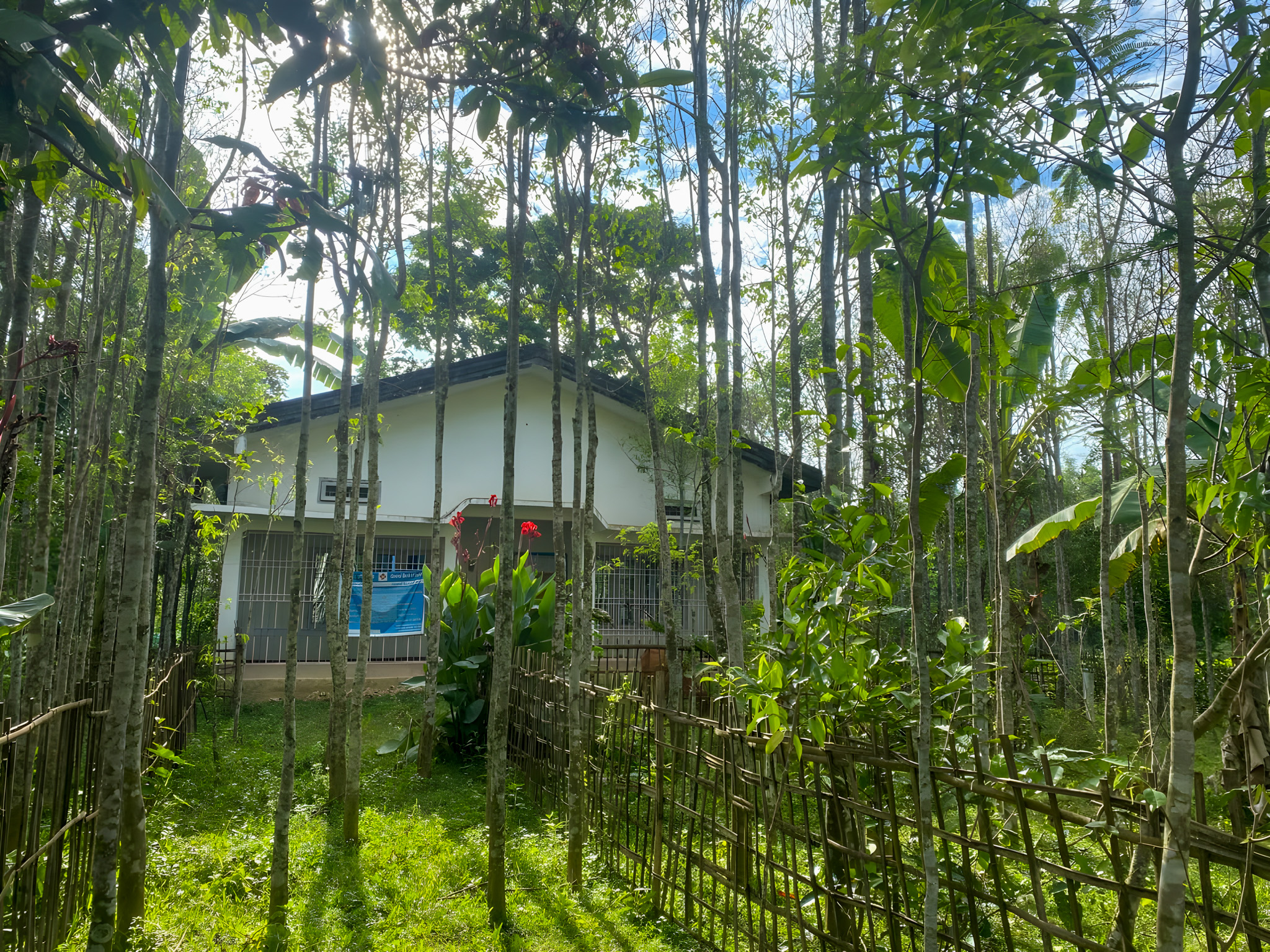 Individual House for Sale in NAMTI, Nazira — photo 4