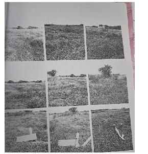 Plot for Sale in Chennai — photo 1