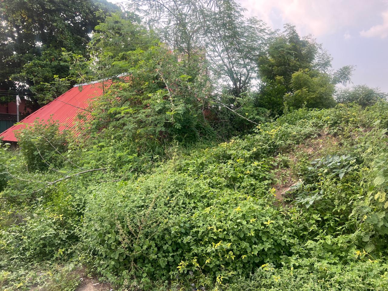Plot for Sale in Abishekapuram, Trichy, Tiruchirappalli — photo 3