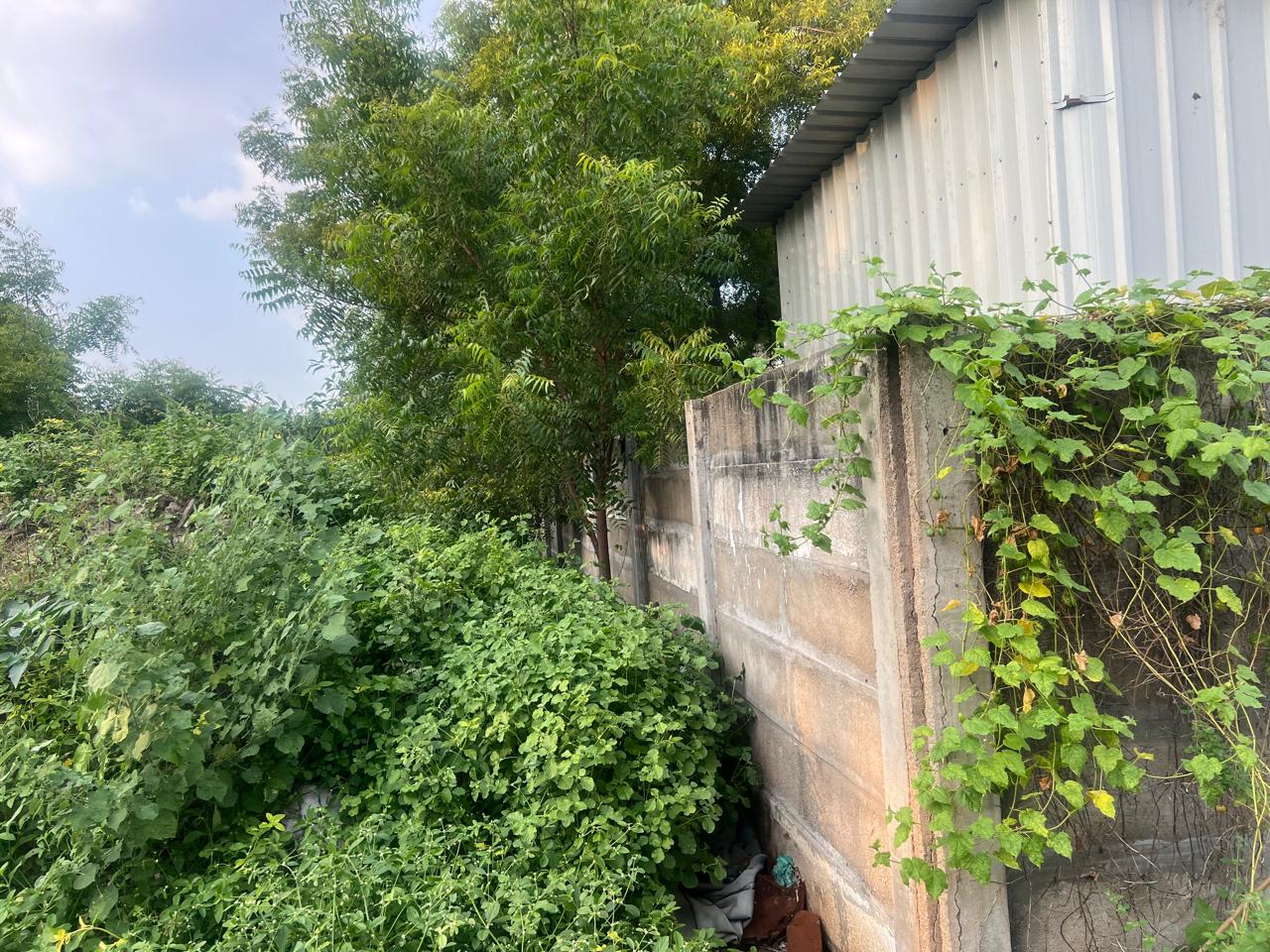 Plot for Sale in Abishekapuram, Trichy, Tiruchirappalli — photo 5