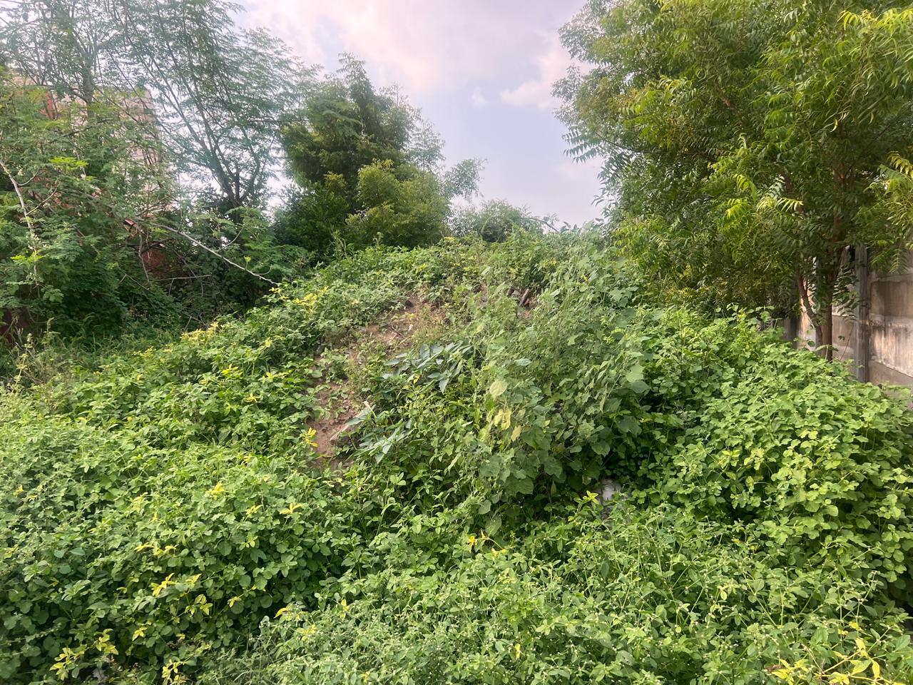 Plot for Sale in Abishekapuram, Trichy, Tiruchirappalli — photo 6