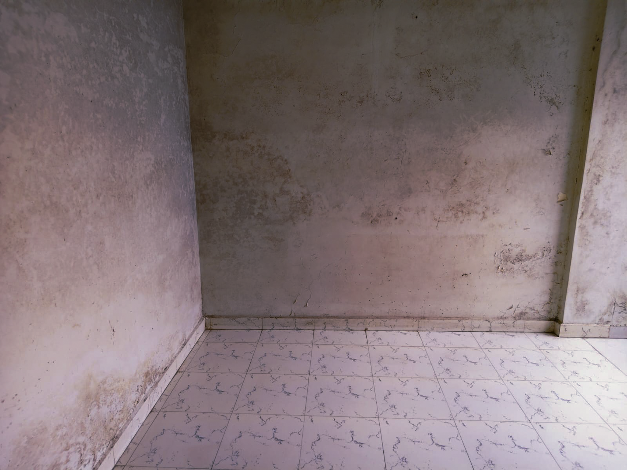 Flat for Sale in JUNAGADH, Junagadh — photo 17