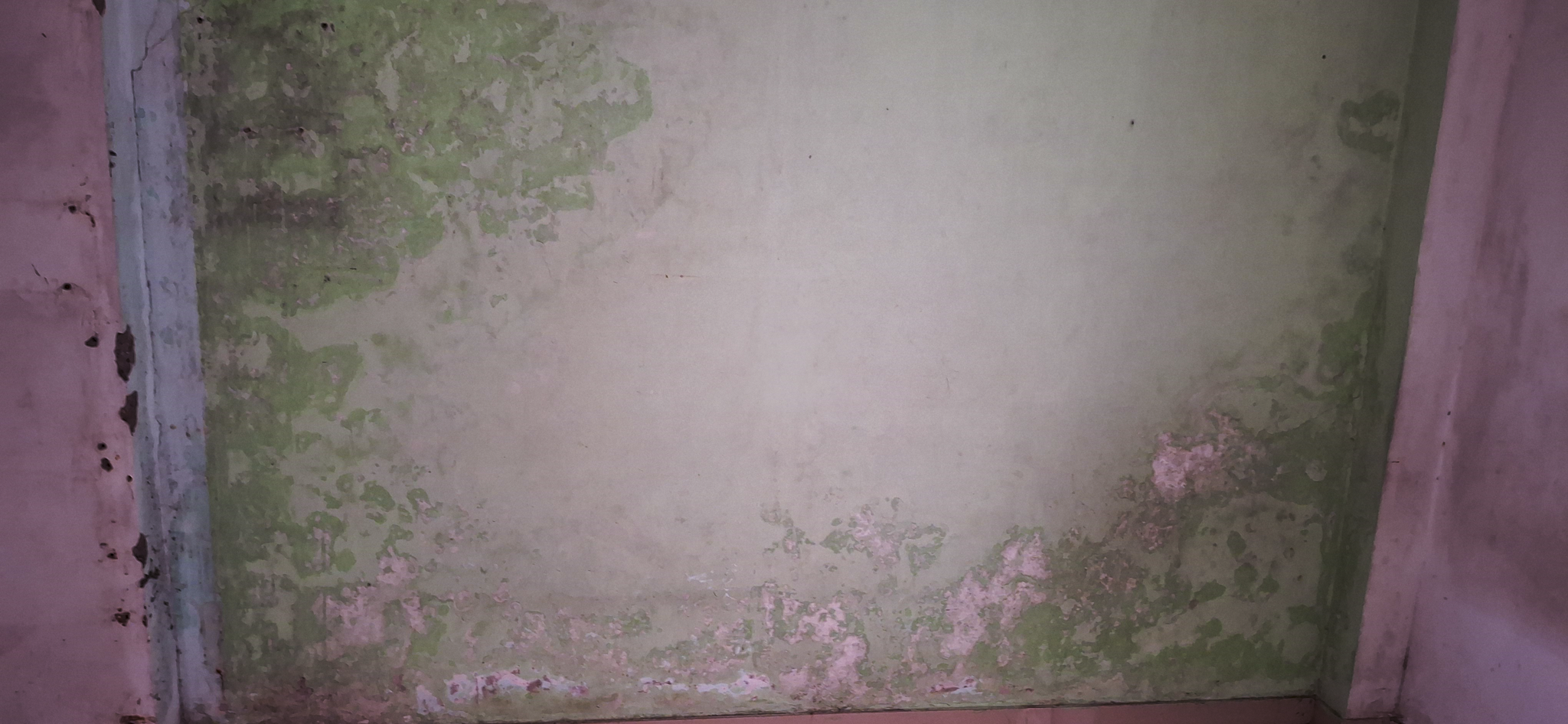 Flat for Sale in VADODARA, Vadodara — photo 9