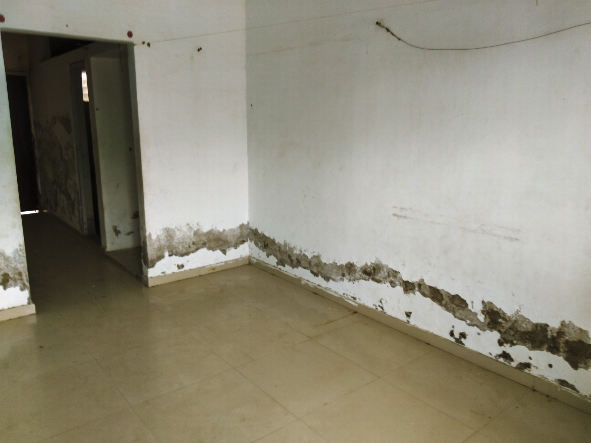 Individual House for Sale in VADODARA, Vadodara — photo 15