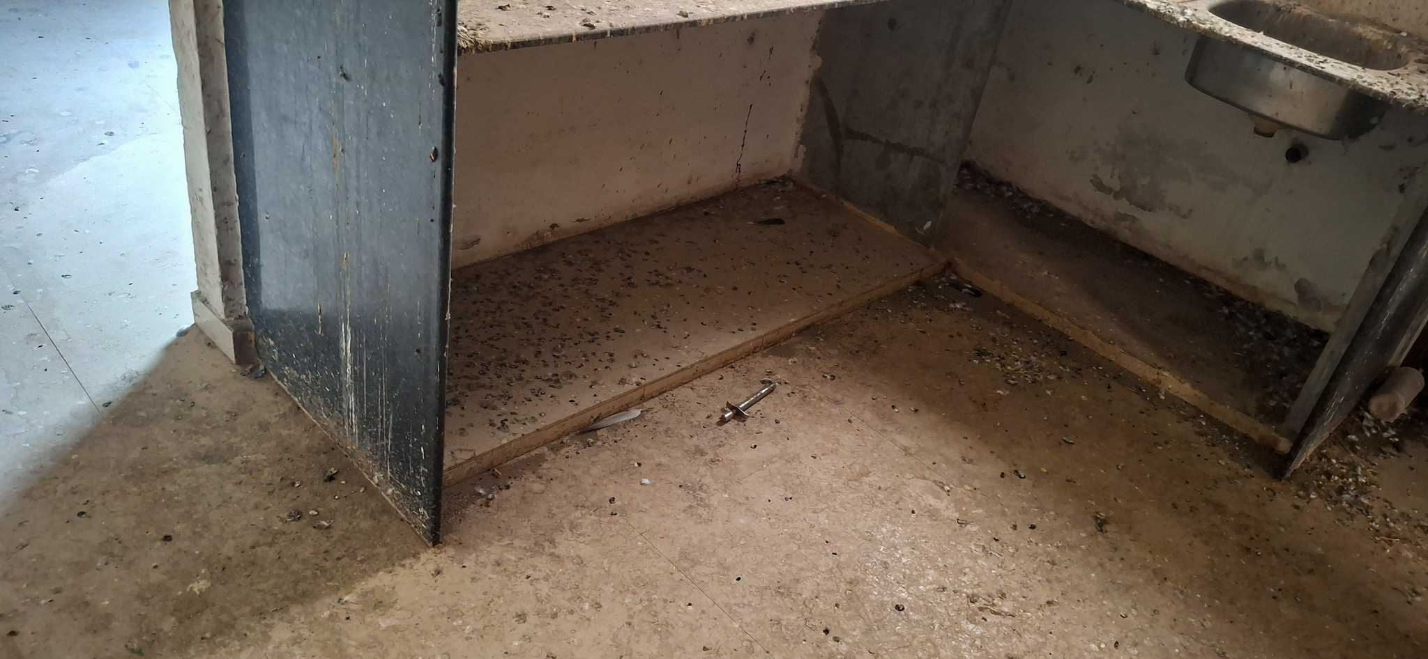 Flat for Sale in THAKOR JI AVENUE, VADODARA, Vadodara — photo 6