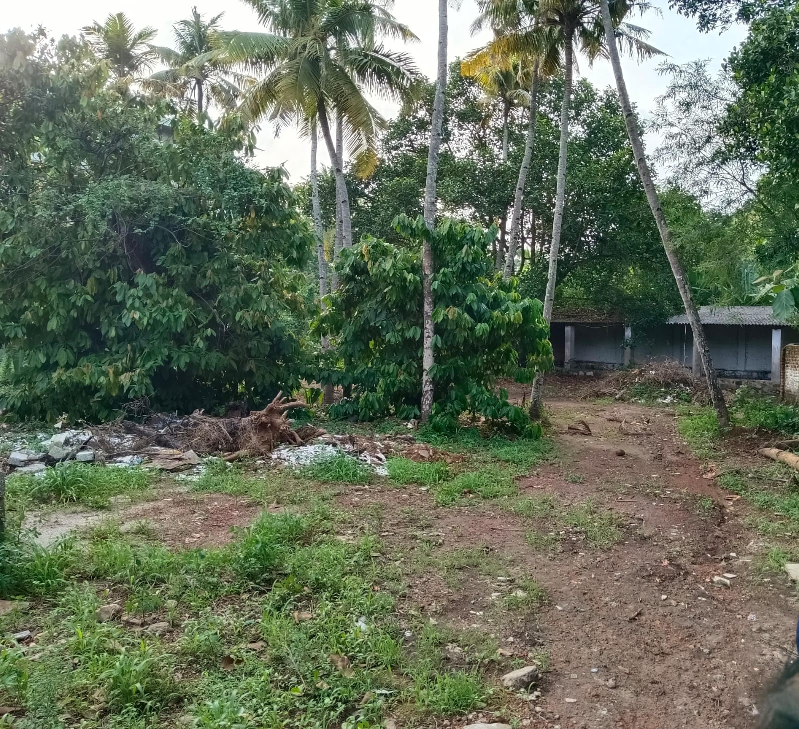 Plot for Sale in Kollam — photo 2