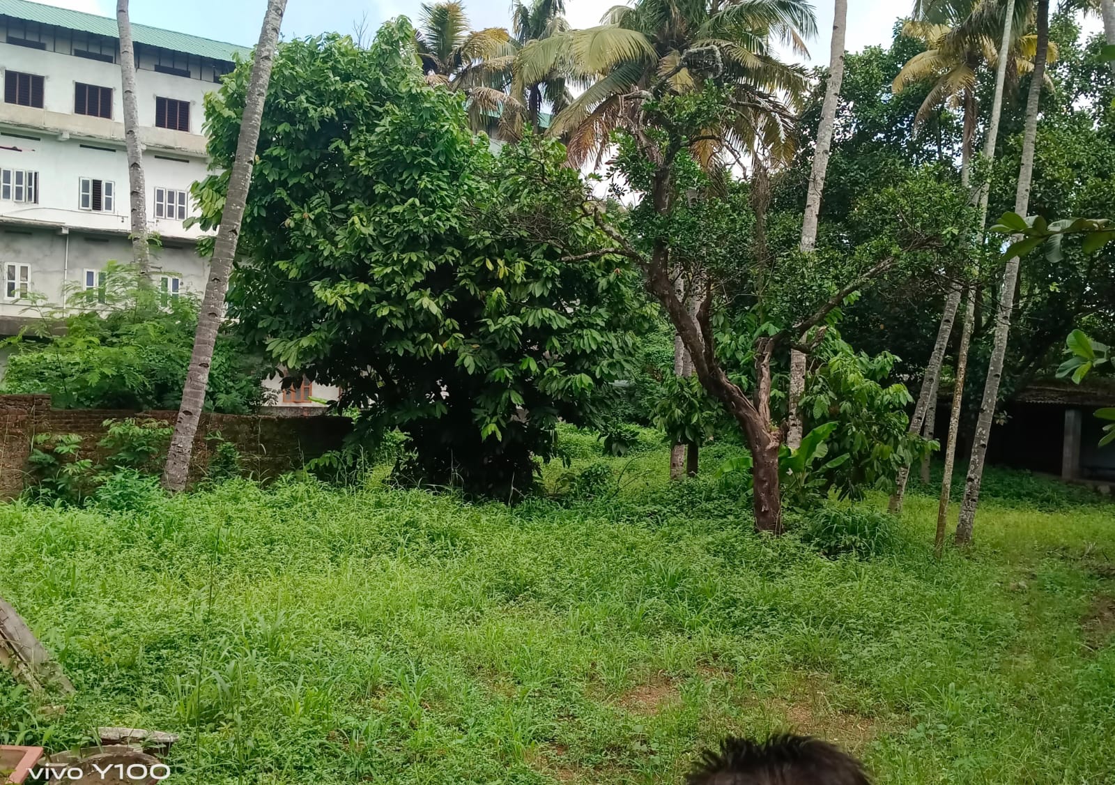 Plot for Sale in Kollam — photo 3