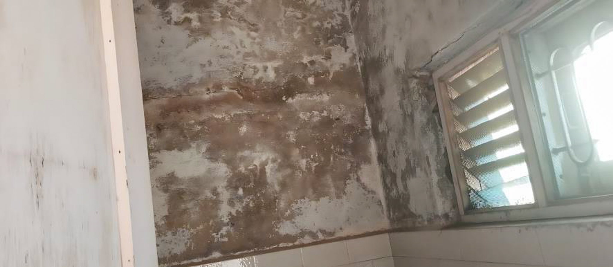 Bungalow for Sale in Surendranagar — photo 7