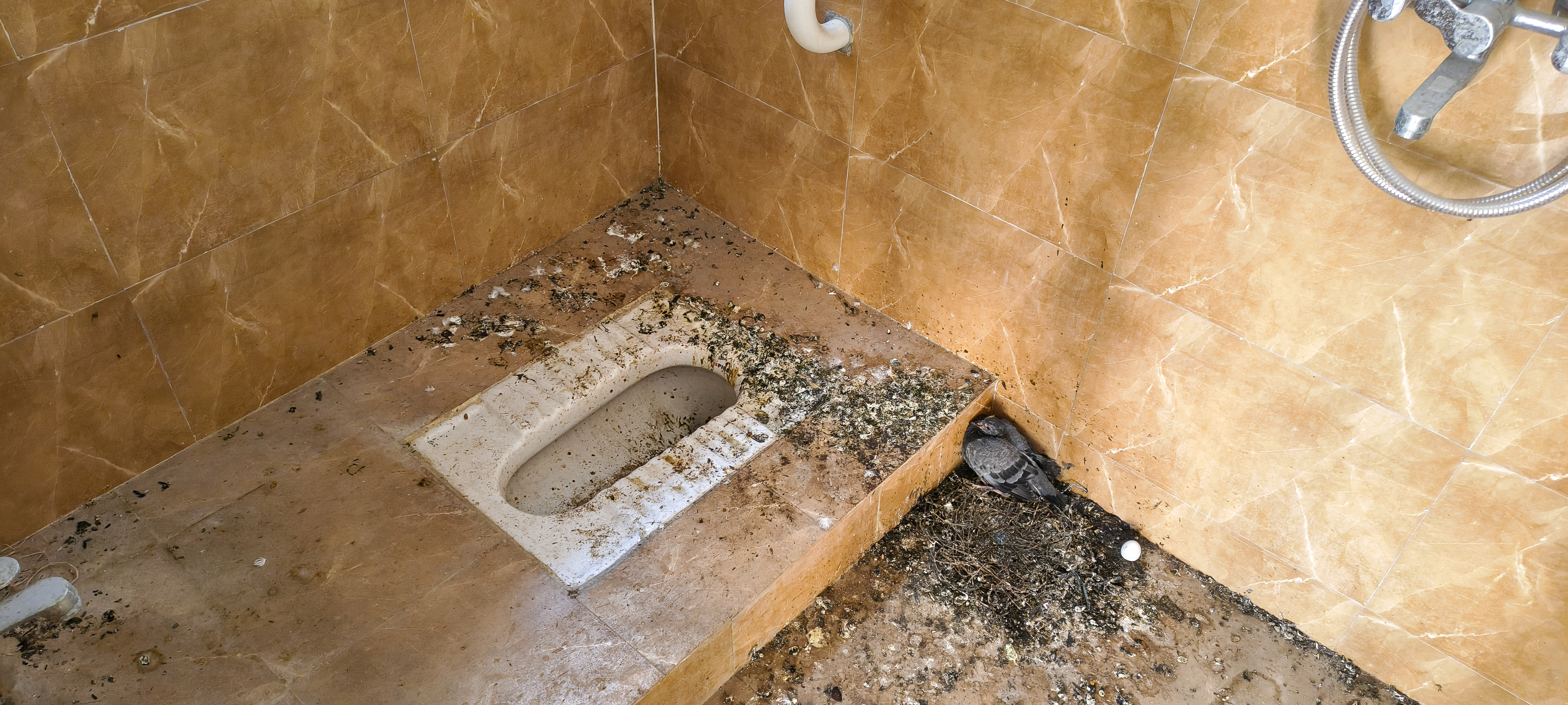 2 BHK Flat for Sale in PARAMOUNT ENCLAVE PHASE 2, Palghar, Palghar — photo 15