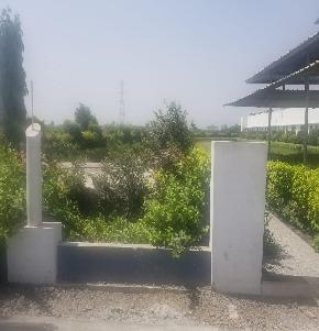 Individual House for Sale in Chalthan — photo 1