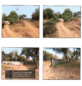 NON AGRICULTURE OPEN LAND for Sale in Padra — photo 1