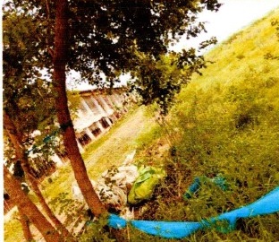 Plot for Sale in Mauza- Barauli, Pargana – Dangasi, Thana No. - 422, Tauzi No. - 2087, District – Gopalganj, Barauli — photo 4