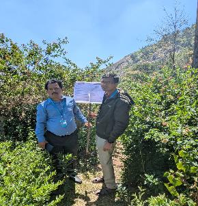 TEA ESTATE for Sale in Ooty — photo 1