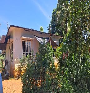 TEA , COFFEE PLANTATION for Sale in Ooty — photo 1