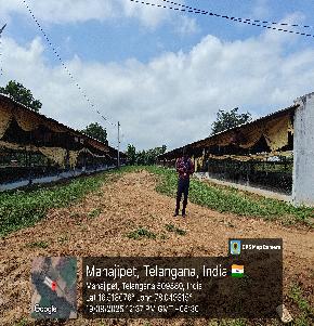 POULTRY SHED for Sale in MANAJIPET VILLAGE GHANPUR MANDAL WANAPARTHY DISTRICT, Wanaparthy — photo 1