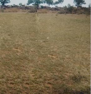 Plot for Sale in Suryapet — photo 1