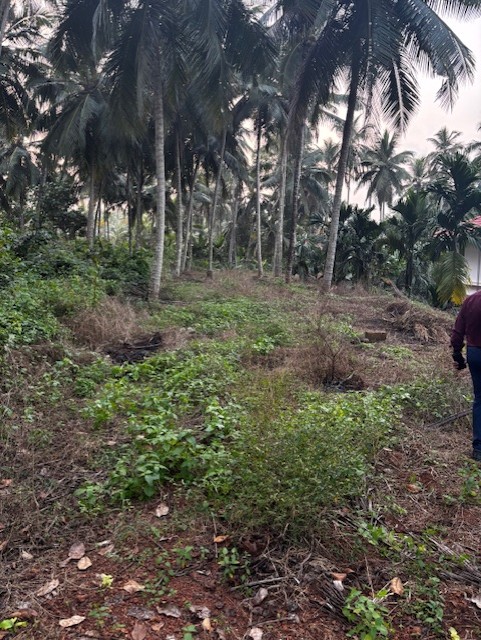 Plot for Sale in Kannamangalam — photo 1