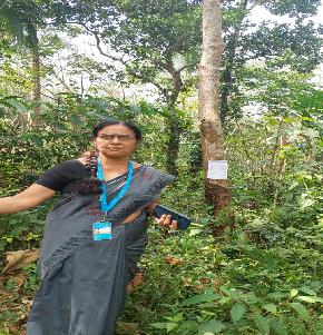 Plot for Sale in Kasargod — photo 1
