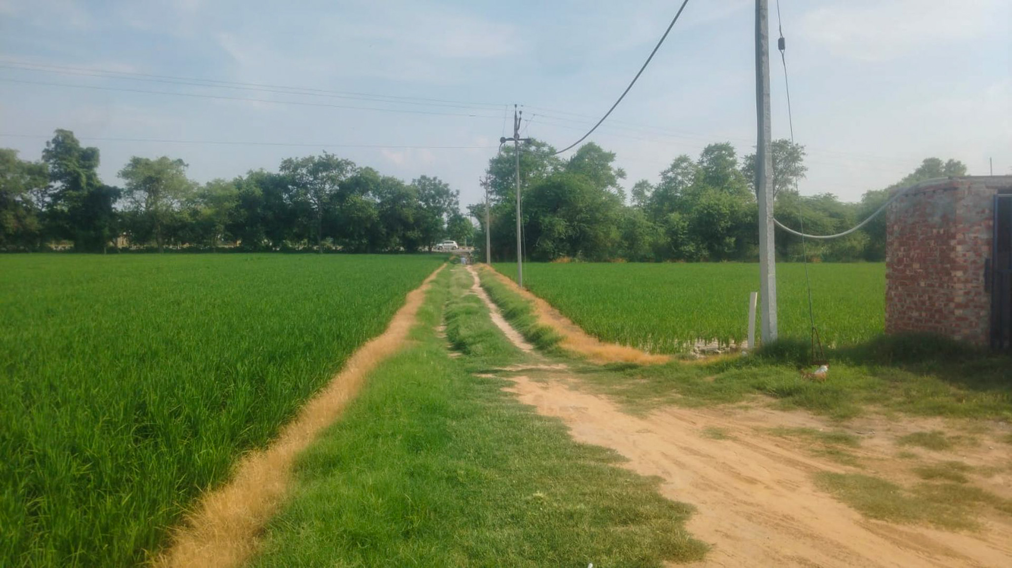 Industrial Plot with Factory Building for Sale in VPO Bahadurpur, District Sangrur, Punjab-148001, Sangrur — photo 13