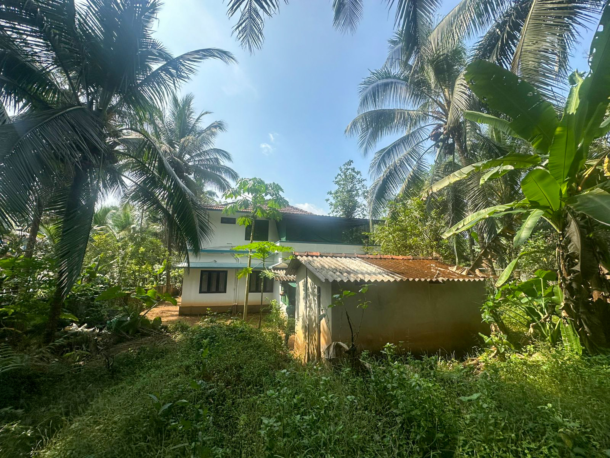 Individual House for Sale in Thiruvambadi , Thamarasseri , Kozhikode, Koduvally — photo 9