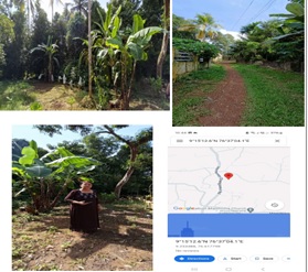 OPEN LAND for Sale in venmoney village, chengannur taluk, allappuzha district, kerala state, Chengannur — photo 1