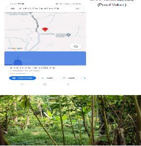 open land for Sale in chengannur taluk, alappuzha district , kerala State, Adoor — photo 1