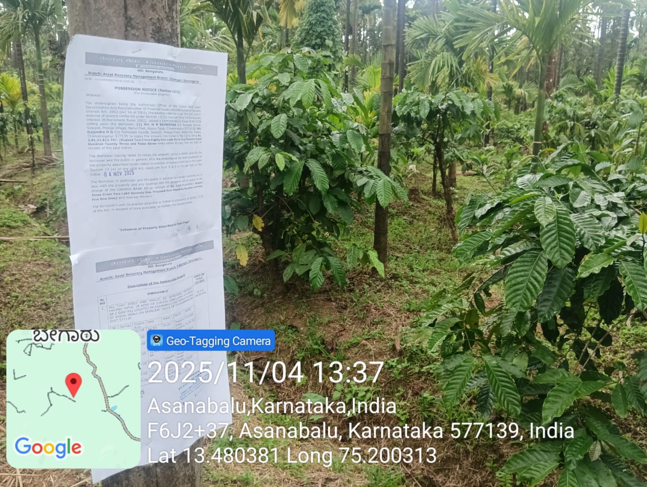 COFFEE PLANTATION for Sale in SRINGERI, Sringeri — photo 1