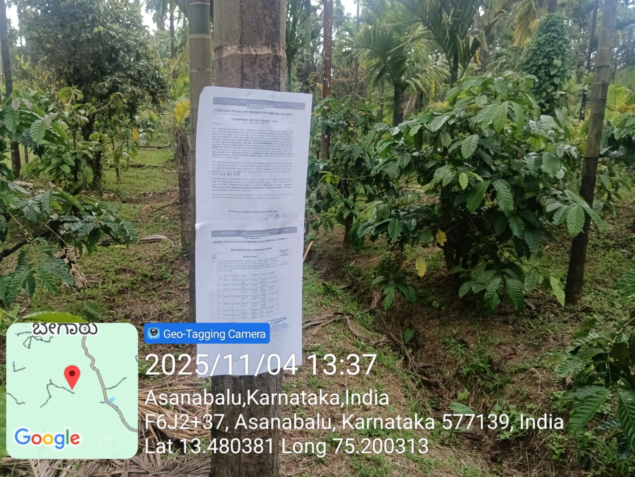 COFFEE PLANTATION for Sale in SRINGERI, Sringeri — photo 2