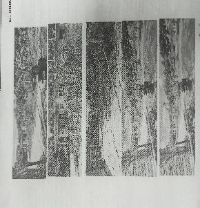 Plot for Sale in AMETHI, Kathaura — photo 1
