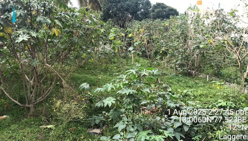 Plot for Sale in 13.006048,77.524060, Bengaluru — photo 3